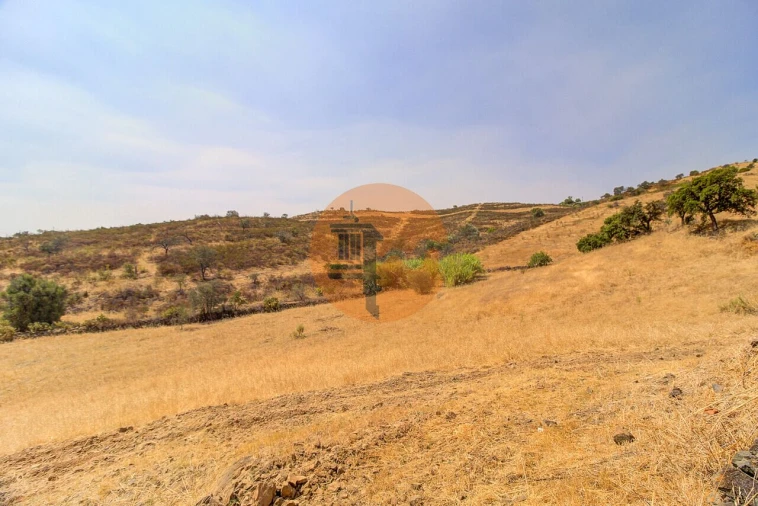 Quinta T3 para Venda em Castro Marim Foto 34