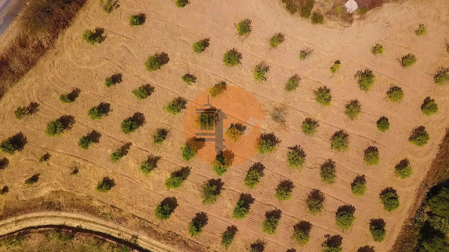 Quinta T3 para Venda em Castro Marim Foto 35