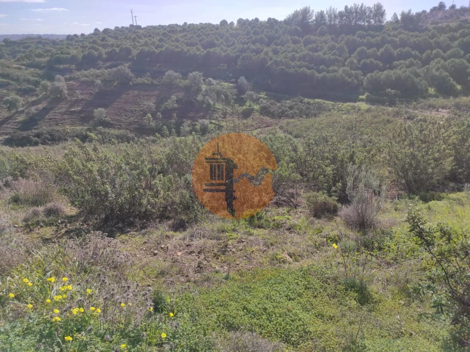 Terreno para Venda em Castro Marim Foto 4