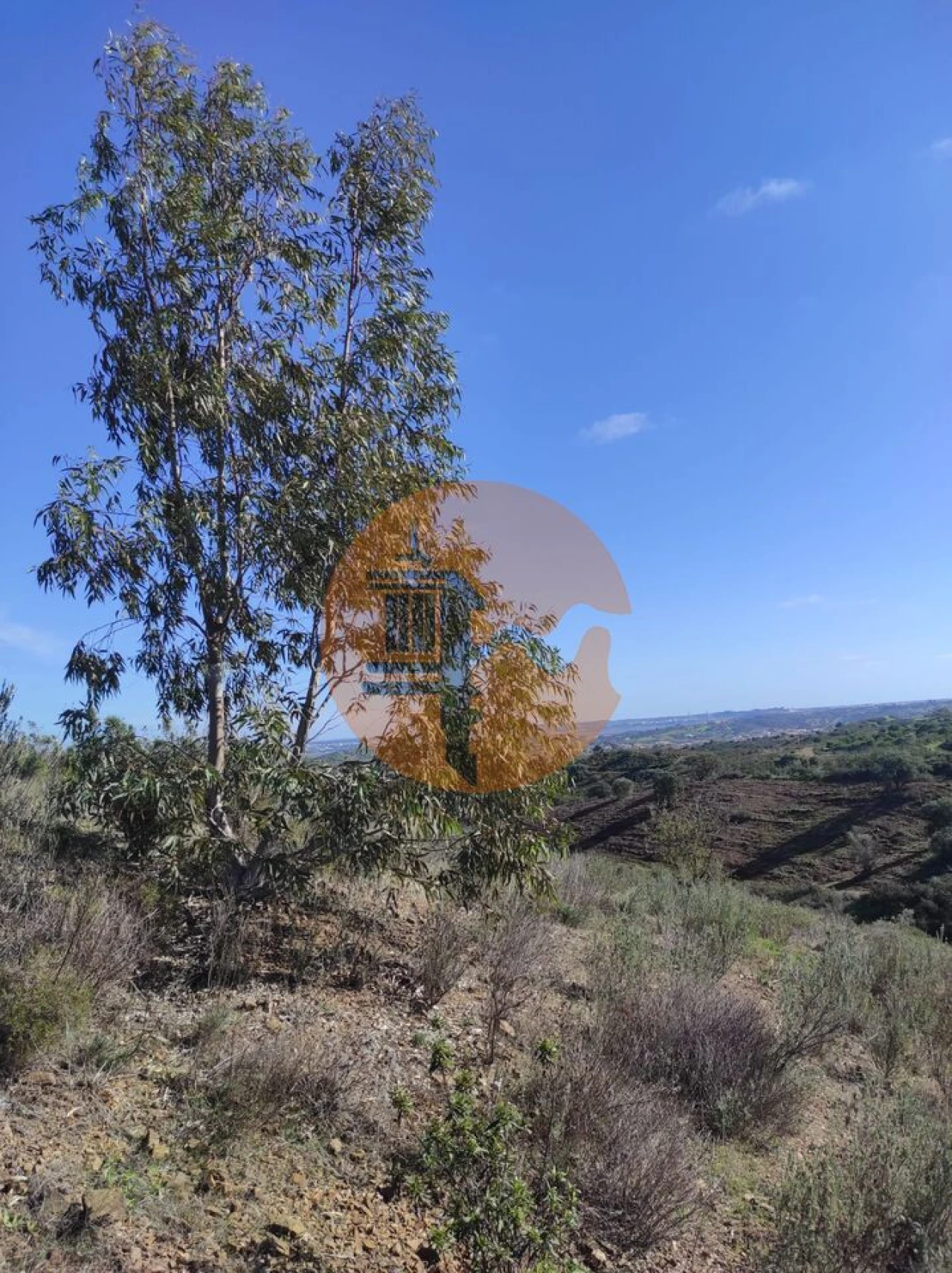 Terreno para Venda em Castro Marim Foto 12