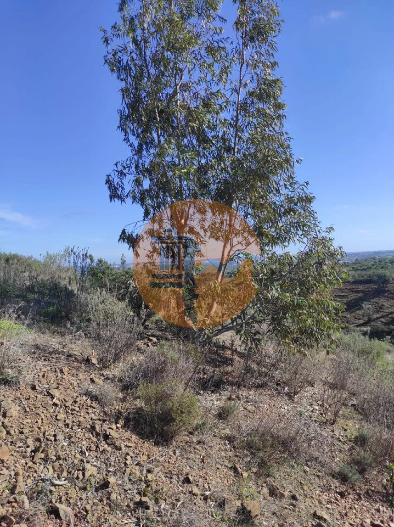 Terreno para Venda em Castro Marim Foto 21