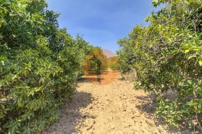 Terreno para Venda em Castro Marim