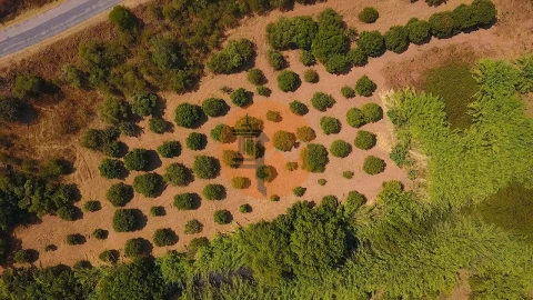 Terreno para Venda em Castro Marim
