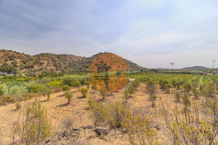 Terreno para Venda em Castro Marim Foto 37