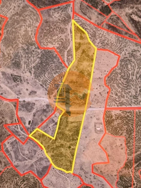 Terreno para Venda em Odeleite
