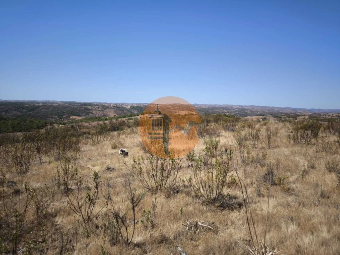 Terreno para Venda em Odeleite Foto 7