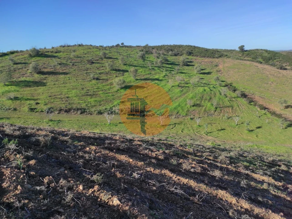 Terreno para Venda em Castro Marim Foto 13