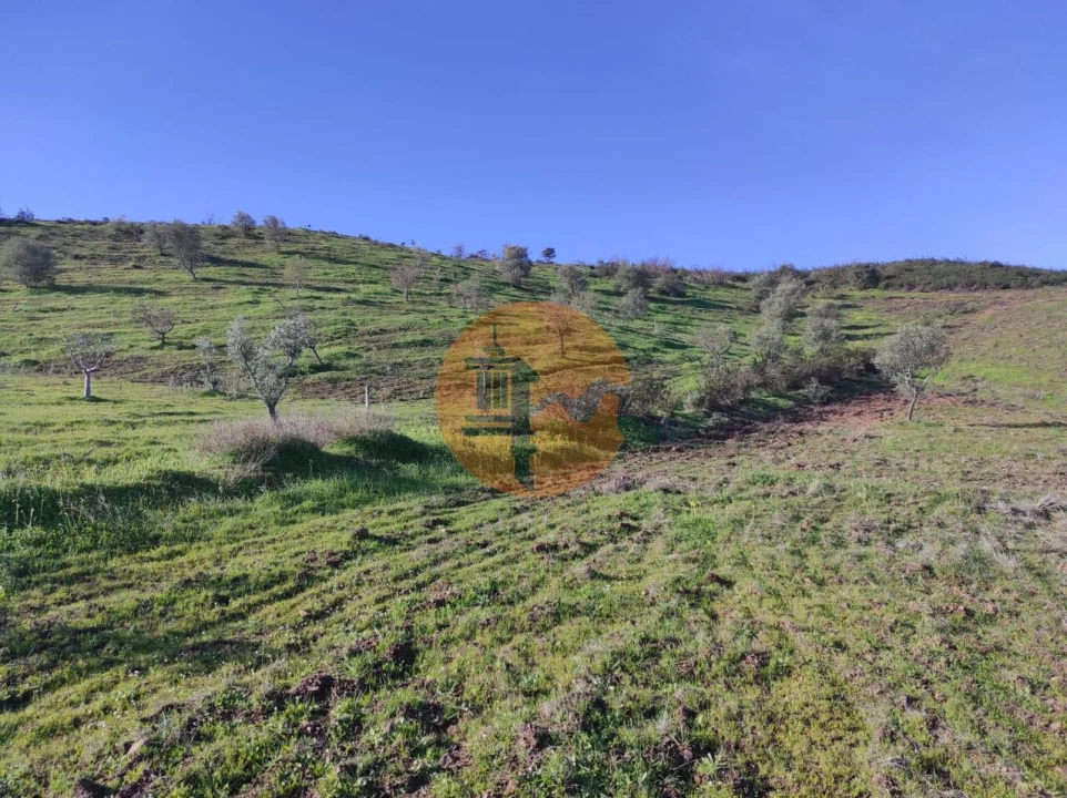 Terreno para Venda em Castro Marim Foto 14