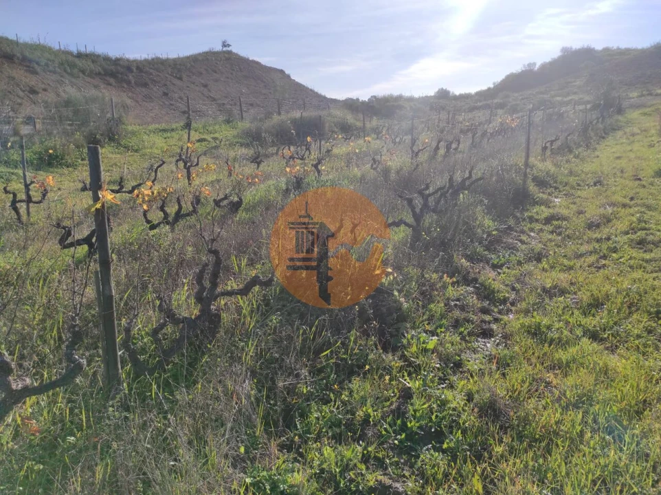 Terreno para Venda em Castro Marim Foto 30
