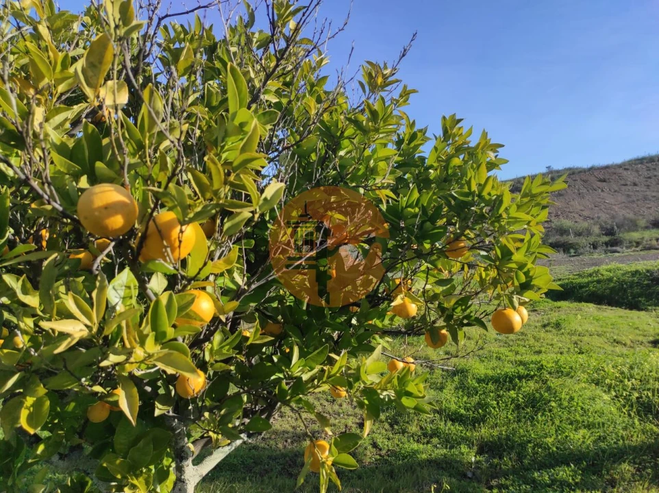 Terreno para Venda em Castro Marim Foto 32