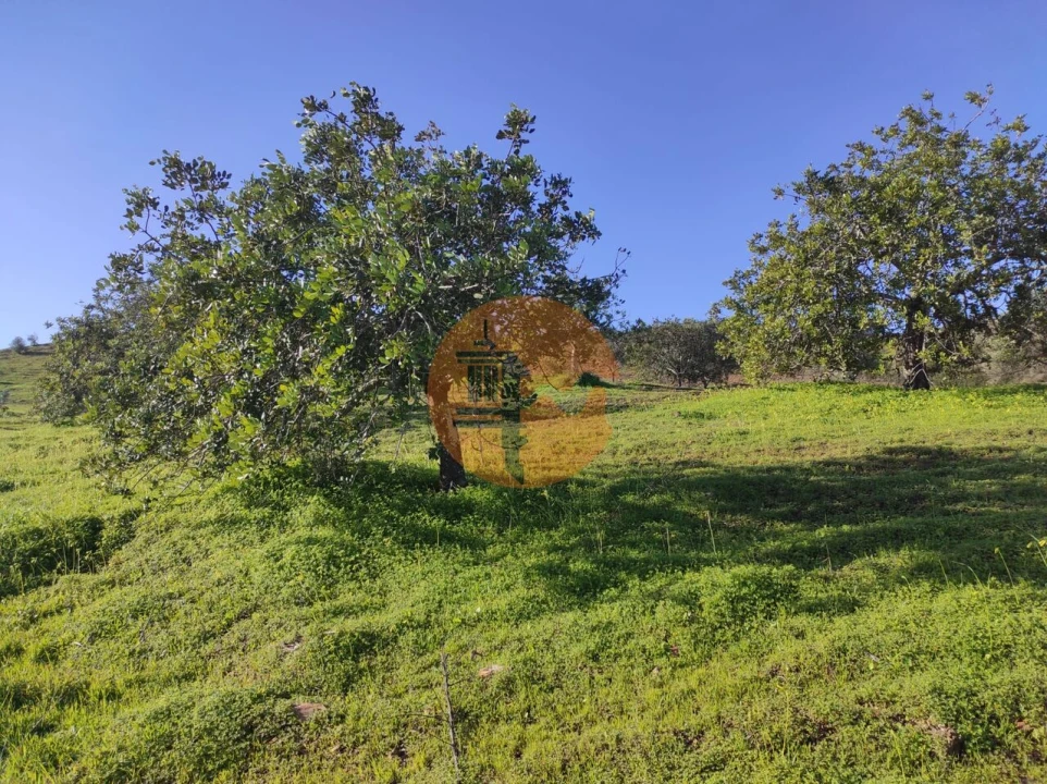 Terreno para Venda em Castro Marim Foto 33