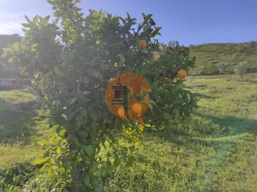 Terreno para Venda em Castro Marim