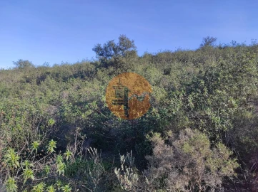 Terreno para Venda em Castro Marim
