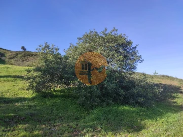 Terreno para Venda em Castro Marim
