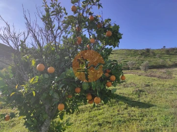Terreno para Venda em Castro Marim