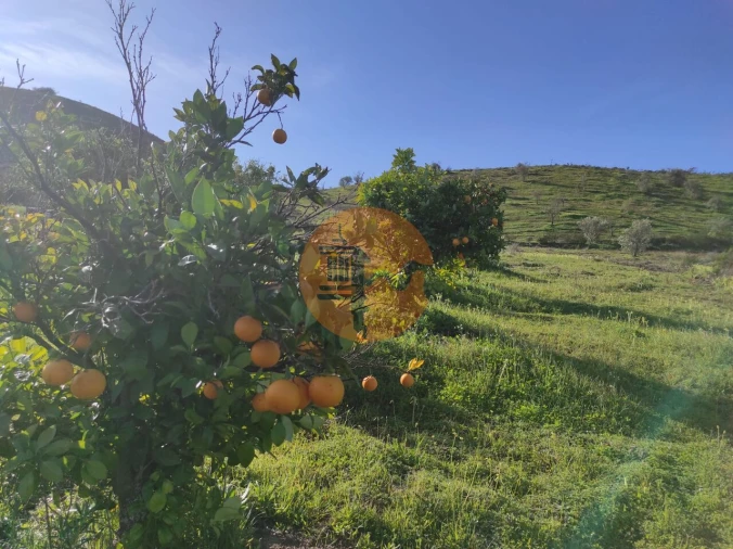 Terreno para Venda em Castro Marim Foto 4
