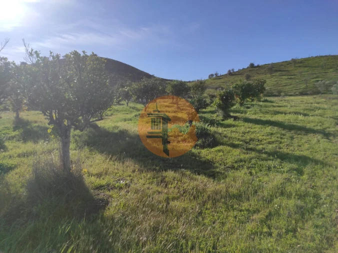 Terreno para Venda em Castro Marim Foto 22