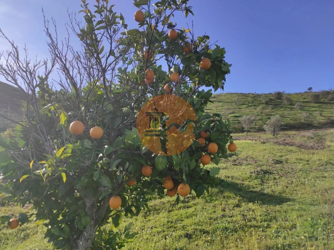 Terreno para Venda em Castro Marim Foto 27