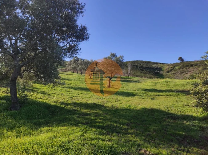 Terreno para Venda em Castro Marim Foto 28