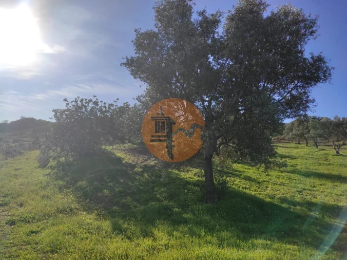 Terreno para Venda em Castro Marim Foto 29