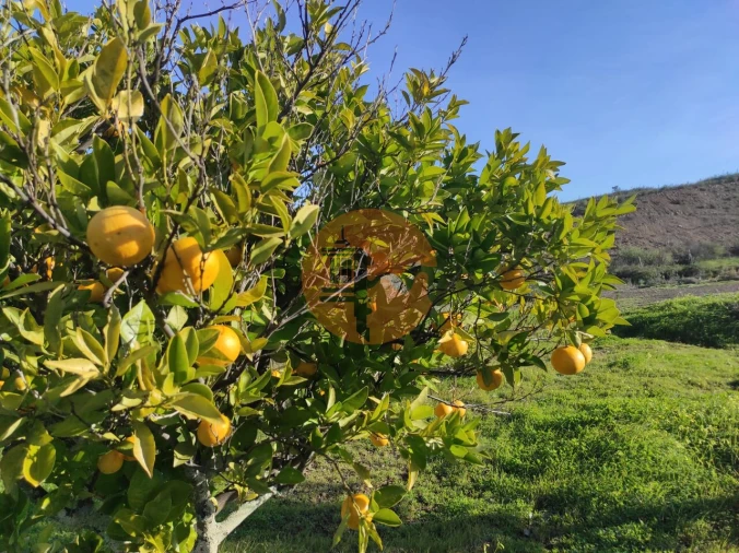 Terreno para Venda em Castro Marim Foto 32