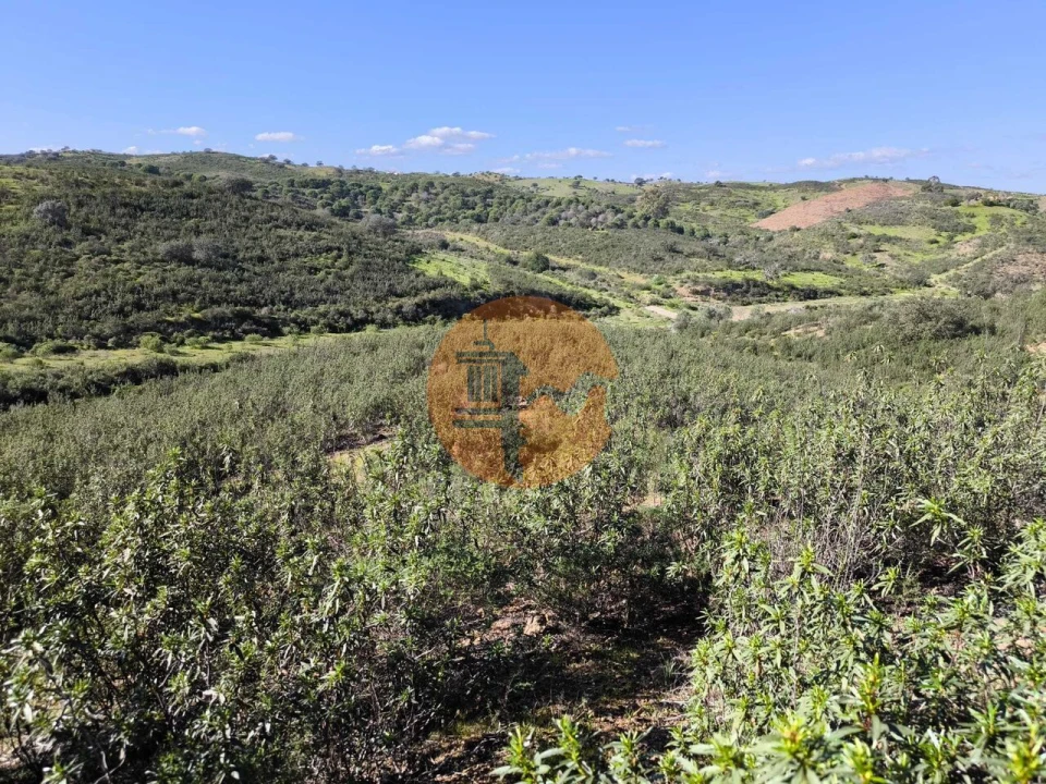 Terreno para Venda em Castro Marim Foto 3