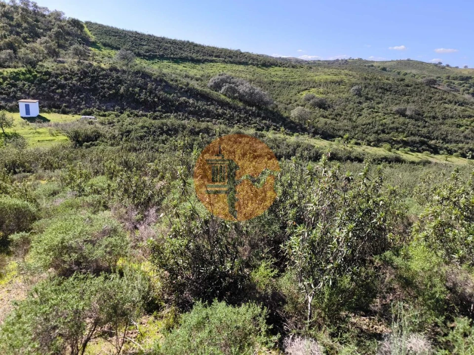 Terreno para Venda em Castro Marim Foto 9