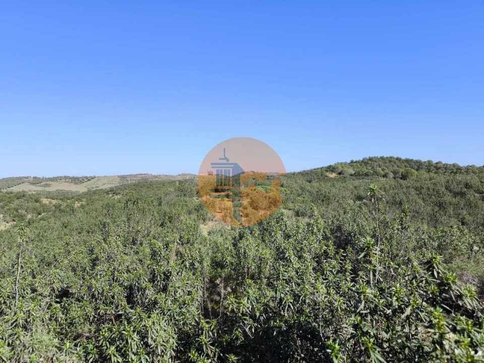 Terreno para Venda em Castro Marim Foto 12