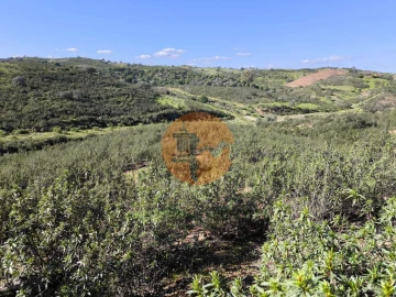 Terreno para Venda em Castro Marim