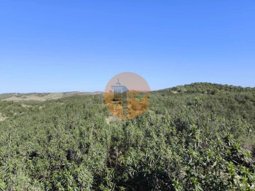 Terreno para Venda em Castro Marim