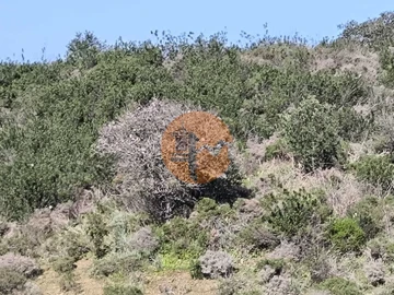 Terreno para Venda em Castro Marim