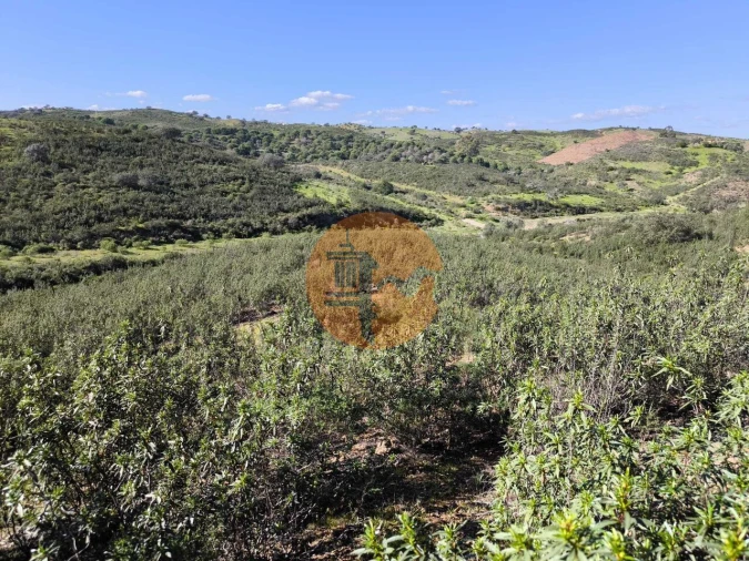Terreno para Venda em Castro Marim Foto 3