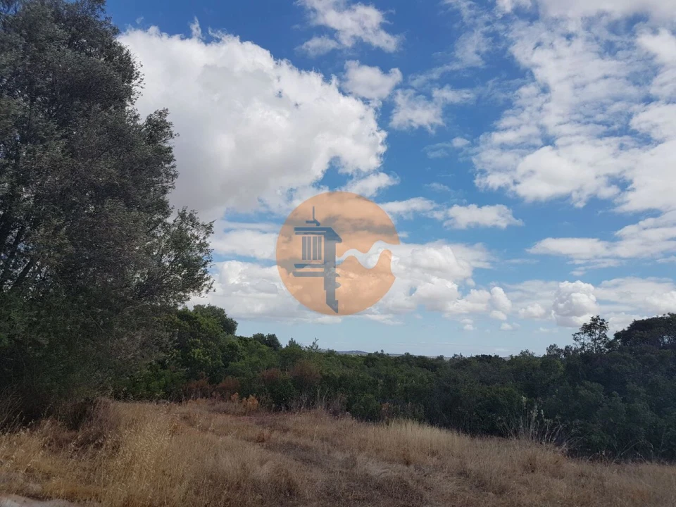 Terreno para Venda em Alte Foto 3