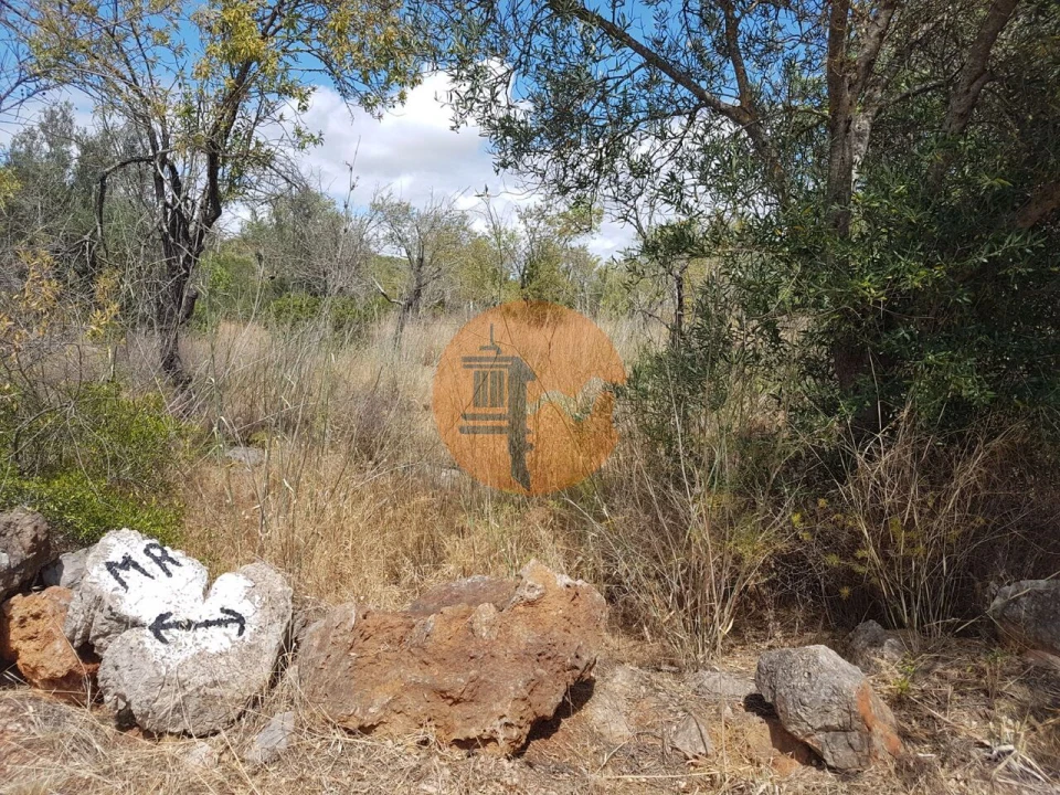 Terreno para Venda em Alte Foto 5