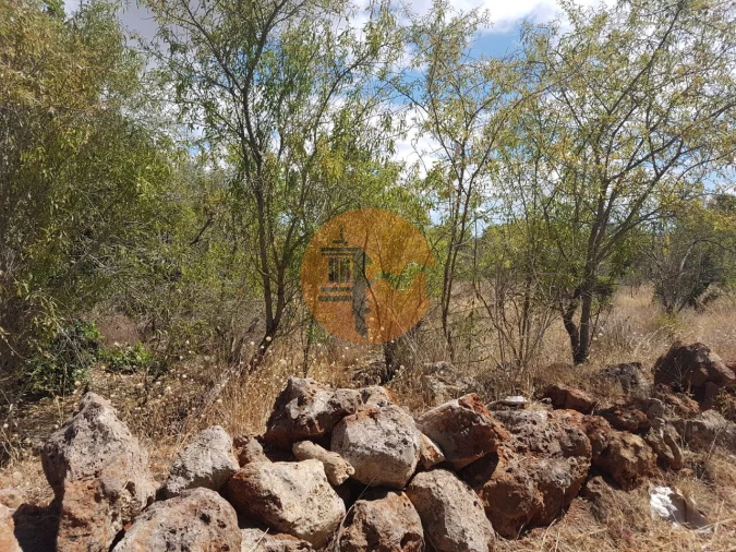 Terreno para Venda em Alte Foto 2