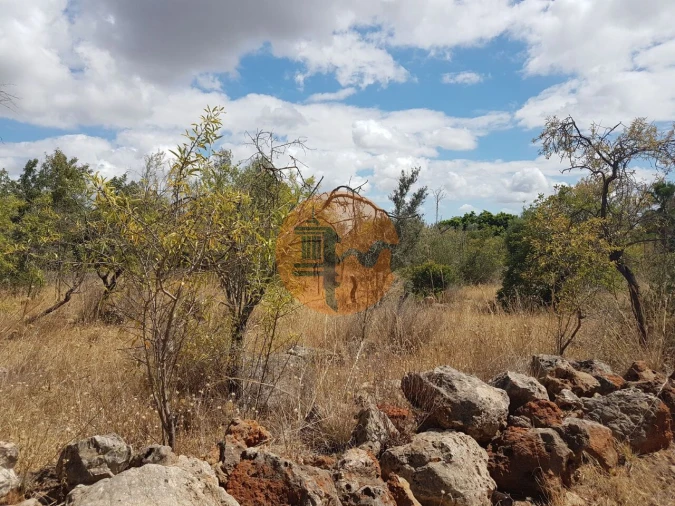 Terreno para Venda em Alte Foto 4