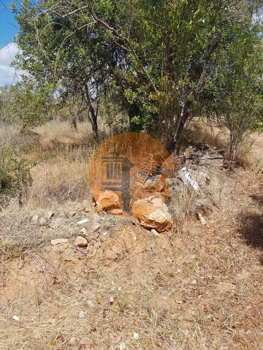 Terreno para Venda em Alte Foto 6