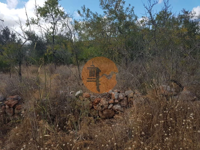 Terreno para Venda em Alte Foto 7