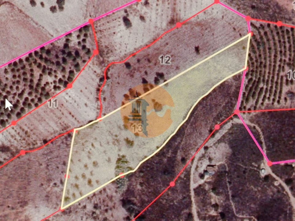 Terreno para Venda em Azinhal Foto 2