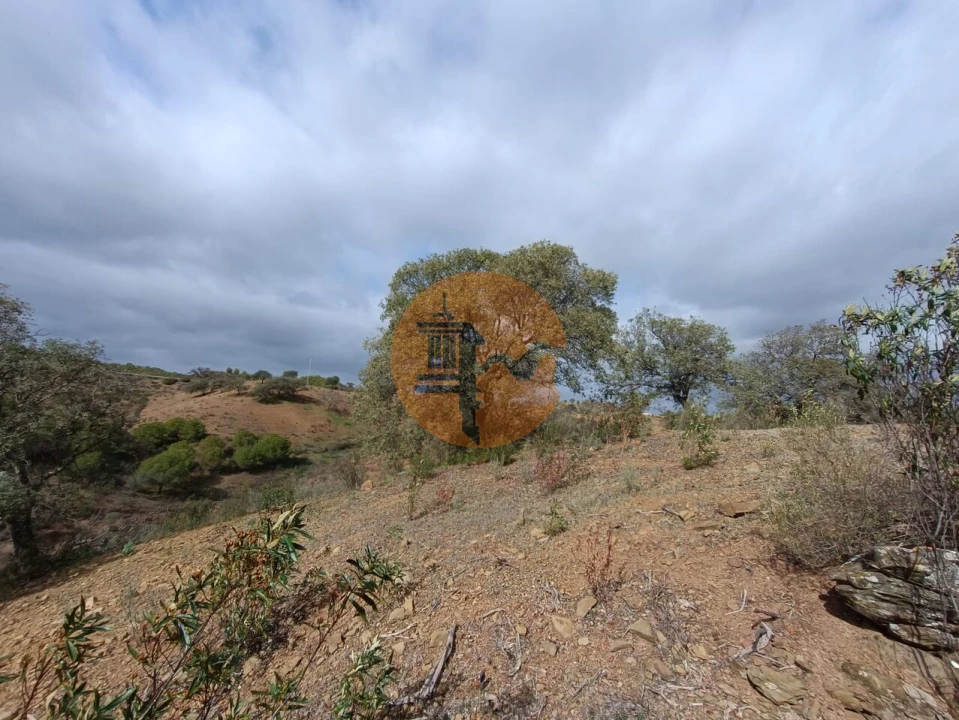 Terreno para Venda em Azinhal Foto 5