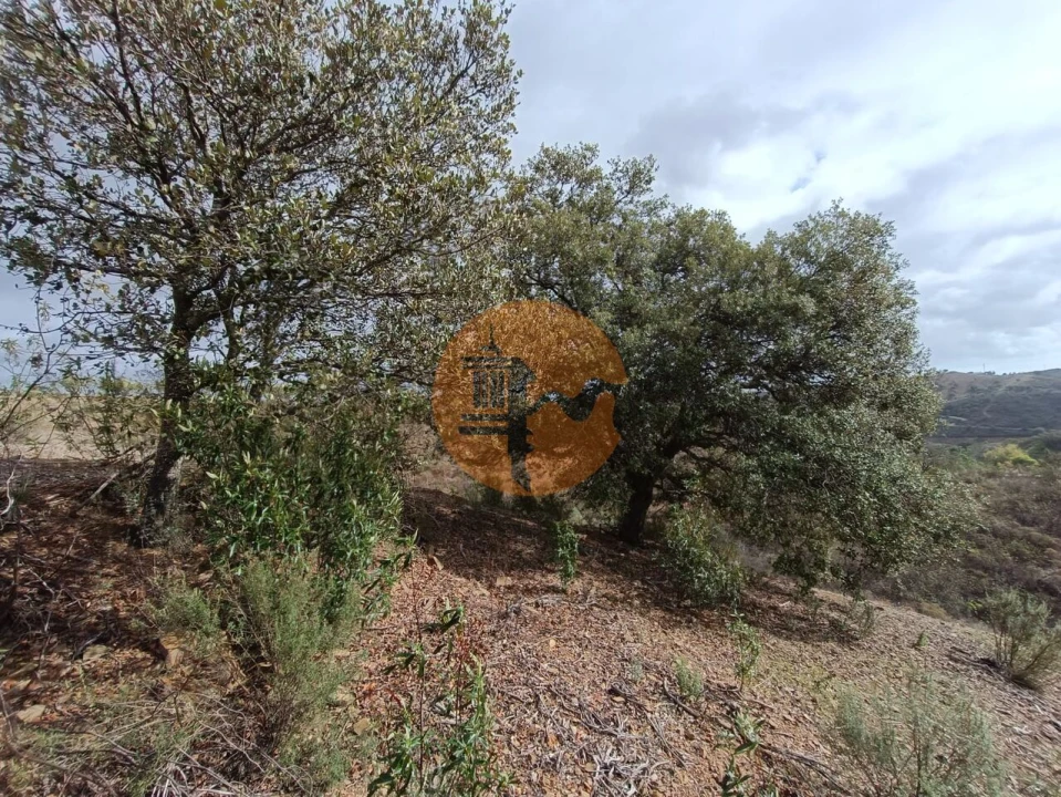 Terreno para Venda em Azinhal Foto 6