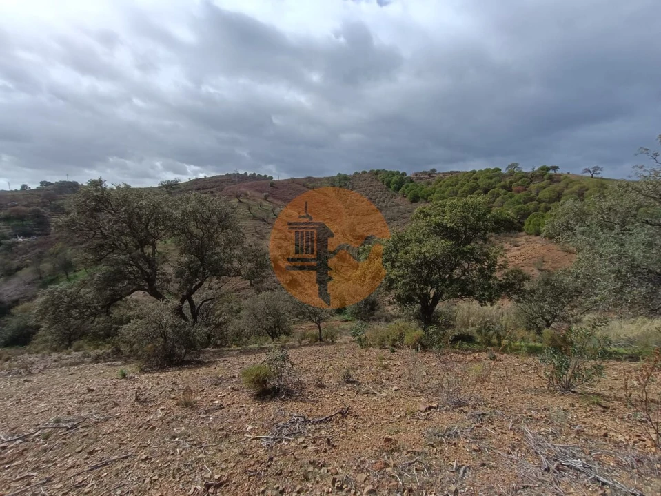 Terreno para Venda em Azinhal Foto 9