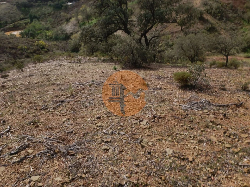 Terreno para Venda em Azinhal Foto 11