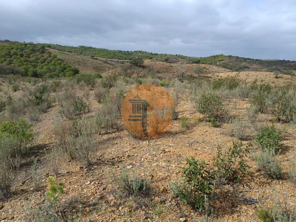 Terreno para Venda em Azinhal Foto 20