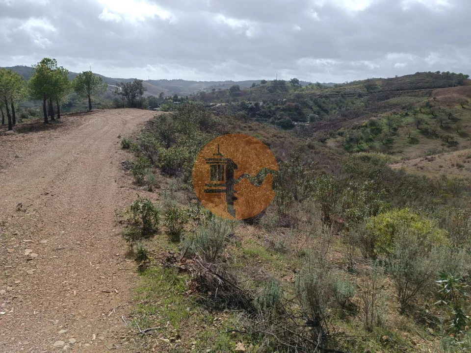 Terreno para Venda em Azinhal Foto 21