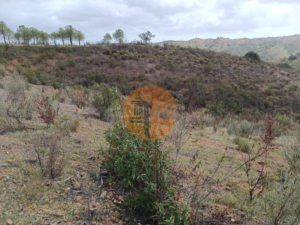 Terreno para Venda em Azinhal Foto 27