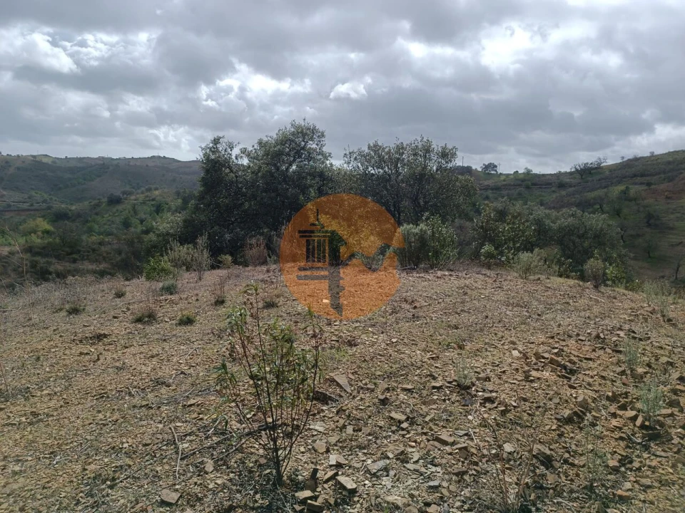 Terreno para Venda em Azinhal Foto 29