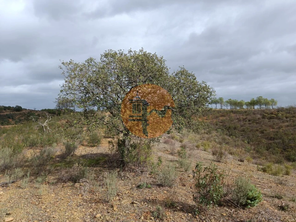 Terreno para Venda em Azinhal Foto 30