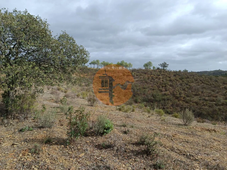 Terreno para Venda em Azinhal Foto 31