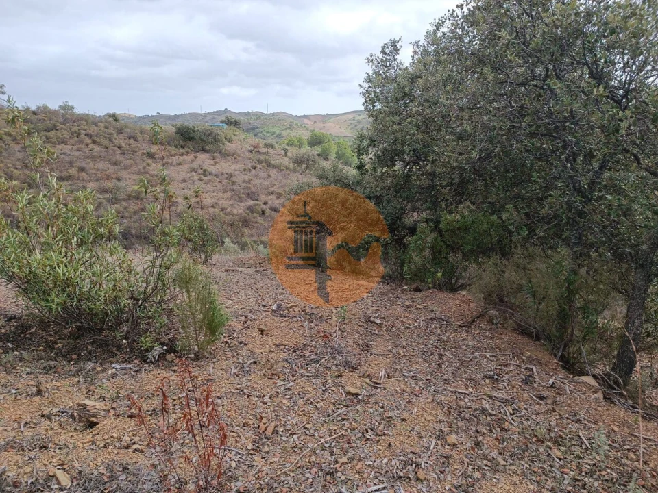 Terreno para Venda em Azinhal Foto 32